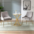 Contemporary Velvet Upholstered Accent Chair (Set of 2)