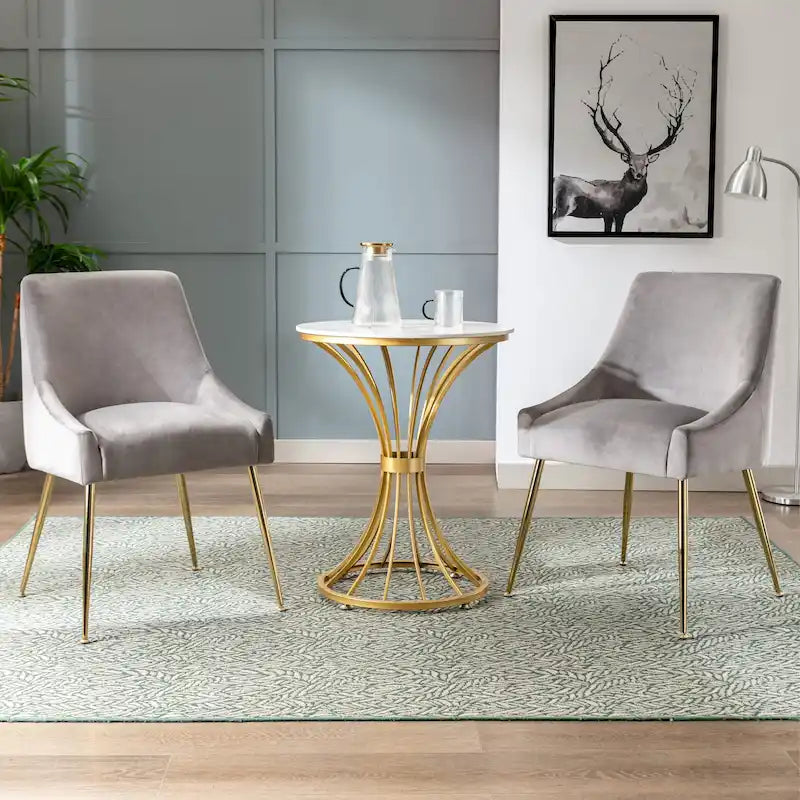 Contemporary Velvet Upholstered Accent Chair (Set of 2)