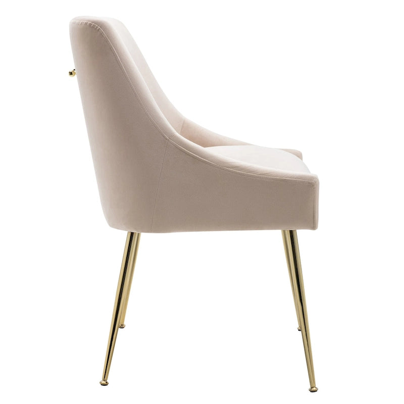 Contemporary Velvet Upholstered Accent Chair (Set of 2)