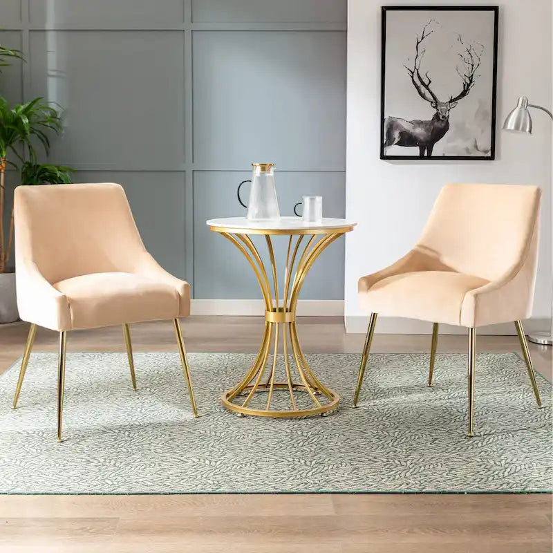 Contemporary Velvet Upholstered Accent Chair (Set of 2)