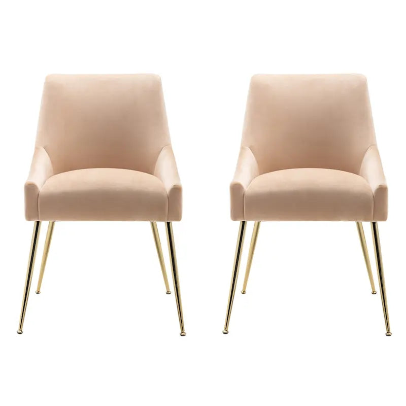 Contemporary Velvet Upholstered Accent Chair (Set of 2)