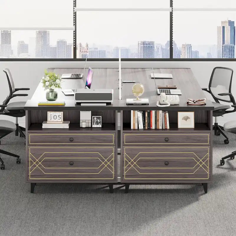 Office File Cabinet with Shelf, 2 Drawer Lateral Filing Cabinet for Letter Size
